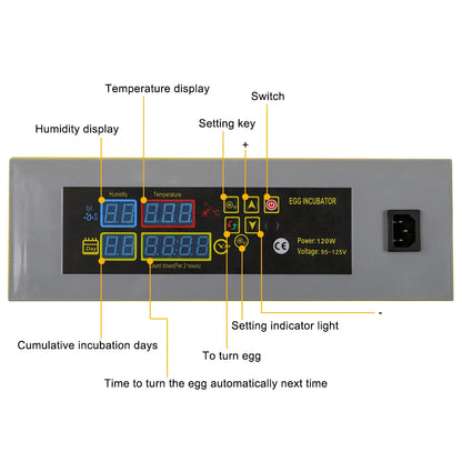 Poultry Egg Incubator