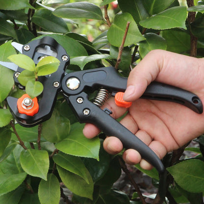 Grafting Pruner Tool Kit