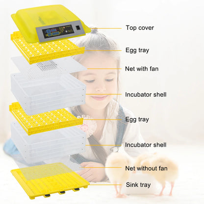 Poultry Egg Incubator