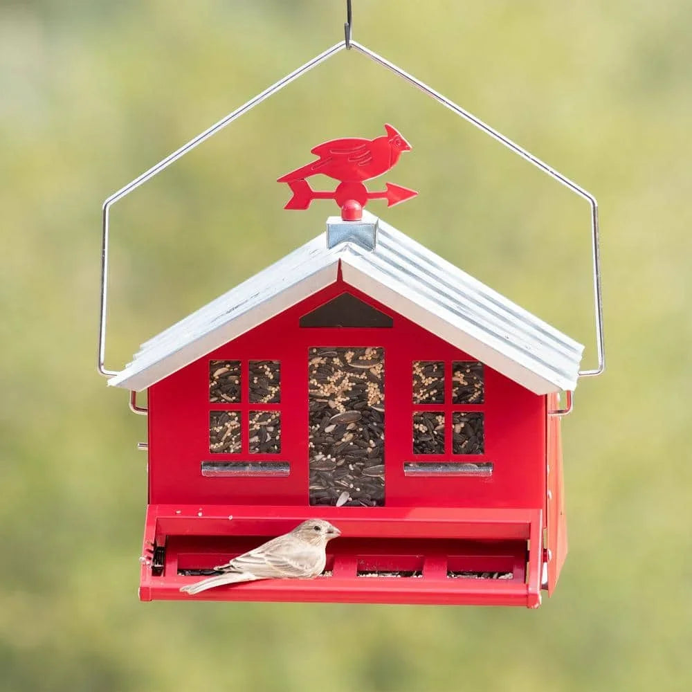 Squirrel Resistant Metal Bird Feeder