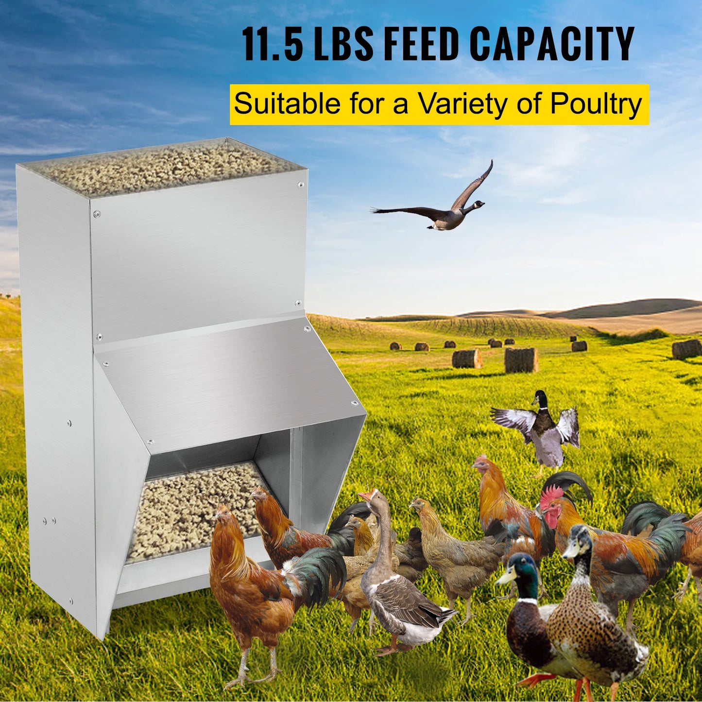 Galvanized Steel Poultry Feeder