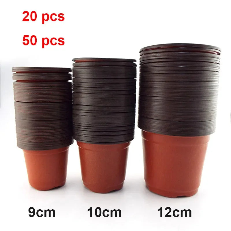 Transplant Nursery Pots 20-50Pcs