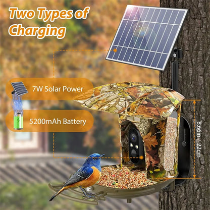 Solar Powered Bird Feeder Camera