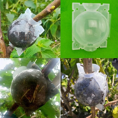 Plant Rooting Ball