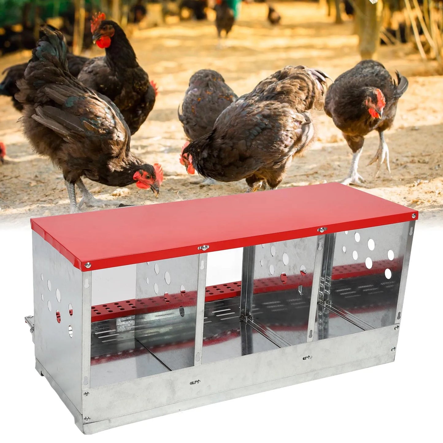 3 Compartment Chicken Nesting Box