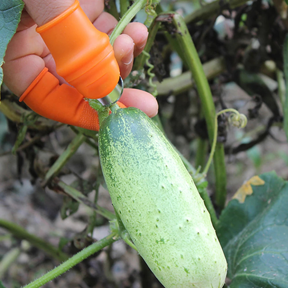 Silicone Thumb Knife