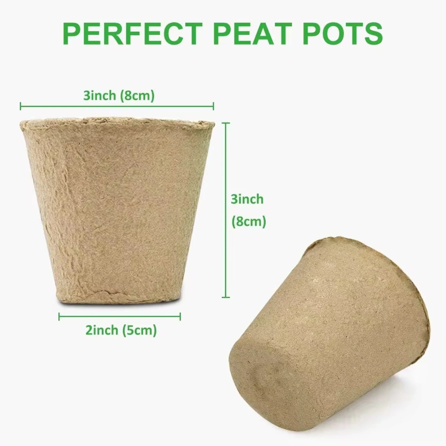 sustainablestaples