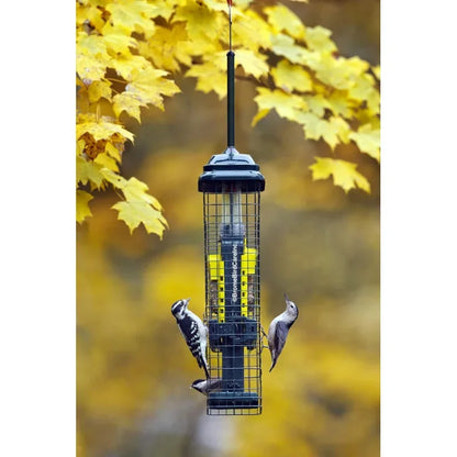 Squirrel-proof Double Suet Bird Feeder