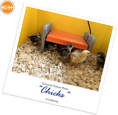 Chicken Brooder Heating Plate