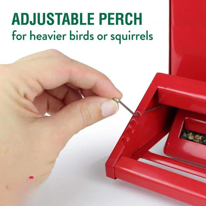 Squirrel Resistant Metal Bird Feeder