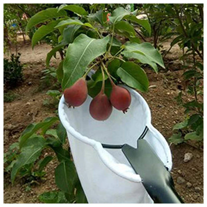 Large Fruit Picker Head