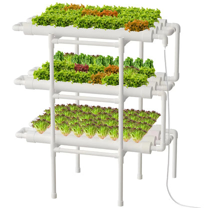 Hydroponics Growing System Kit