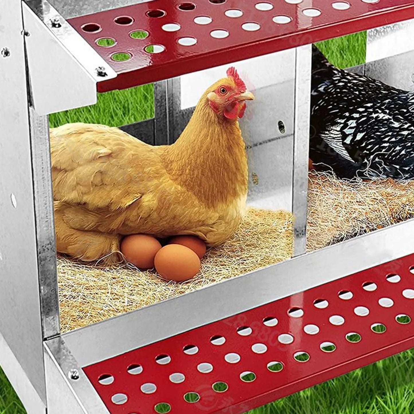 3 Compartment Chicken Nesting Box