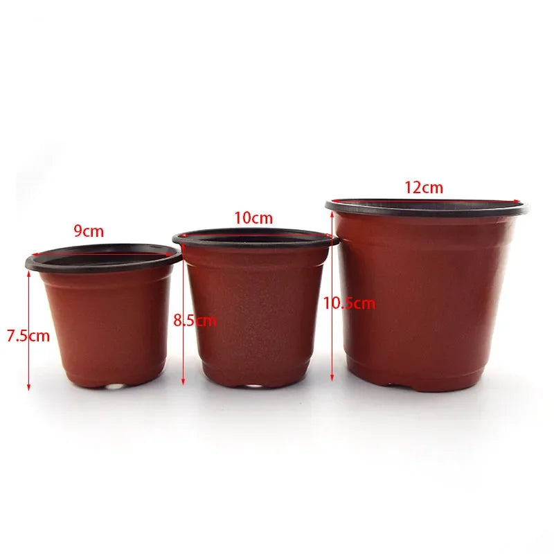 Transplant Nursery Pots 20-50Pcs