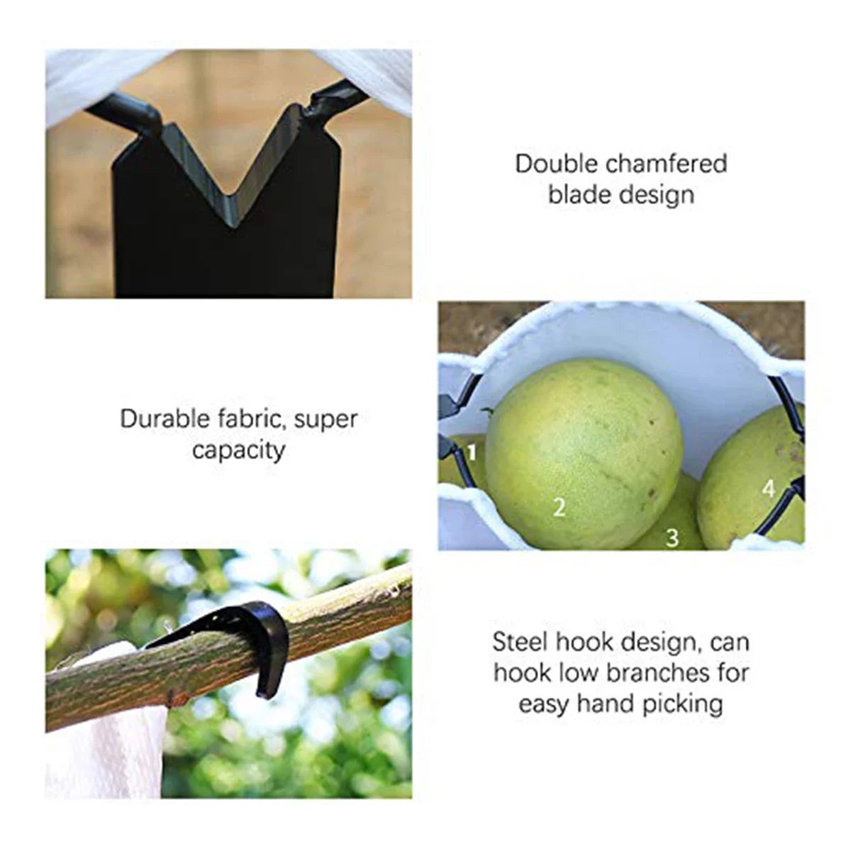 sustainablestaples