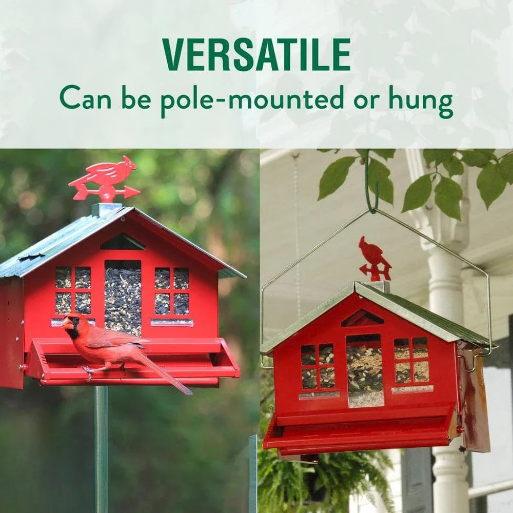 Squirrel Resistant Metal Bird Feeder