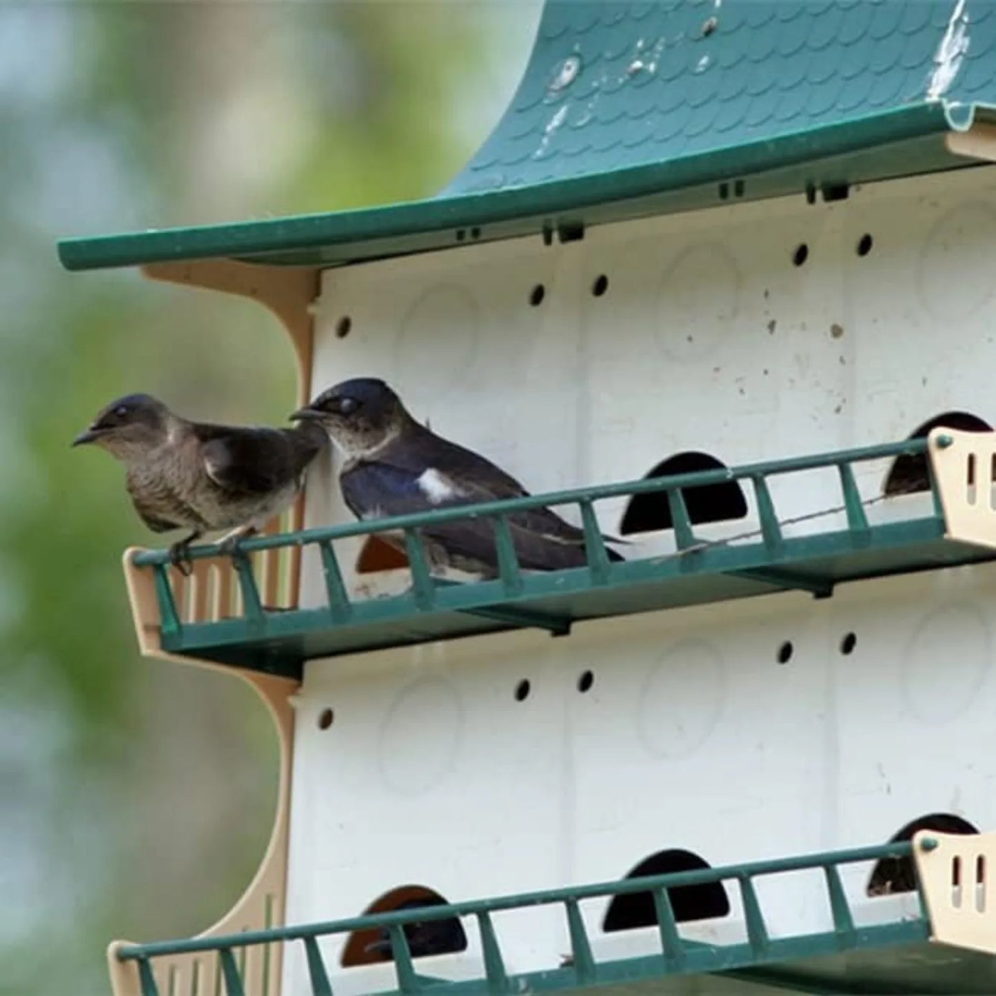 12 Room Purple Martin House