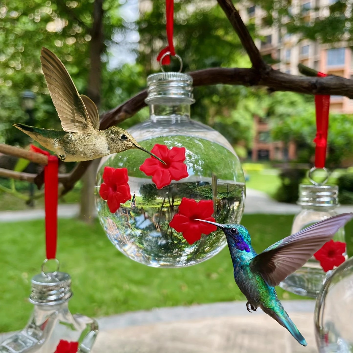 Globe Hummingbird Feeder