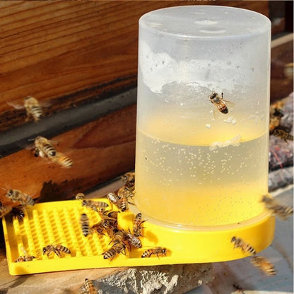 Bee Drinking Water Station