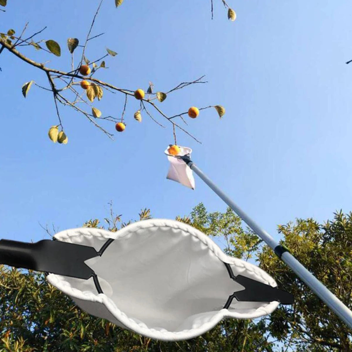 sustainablestaples