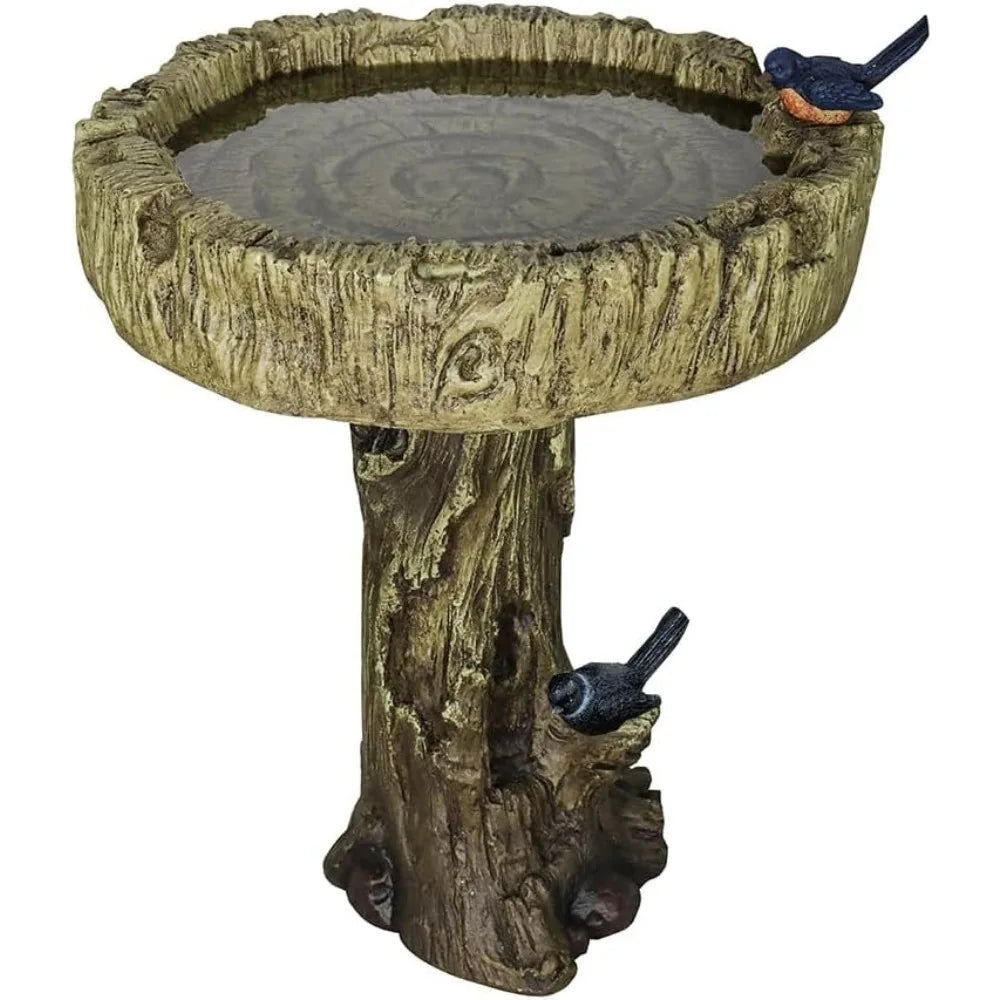 Reinforced Concrete Bird Bath