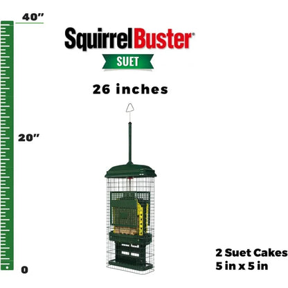 Squirrel-proof Double Suet Bird Feeder