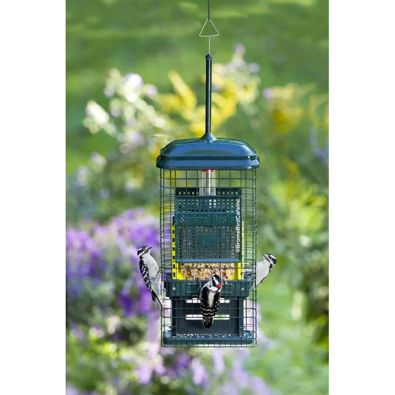 Squirrel-proof Double Suet Bird Feeder