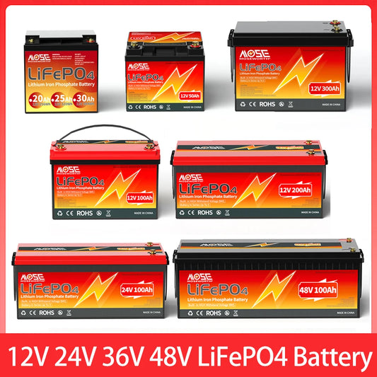 12V 24V 36V 48V LiFePO4 Rechargeable Battery