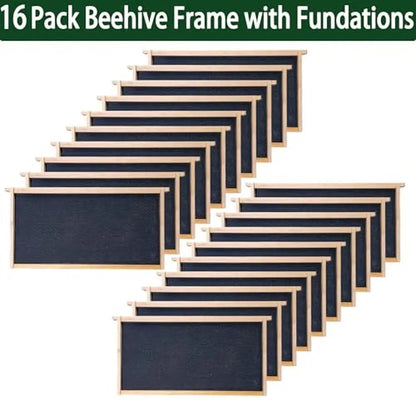 10-Frame Bee Hive Starter Kit