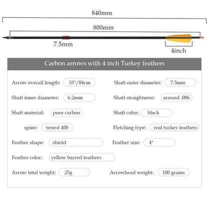 Carbon Arrows with Turkey Feathers 32"
