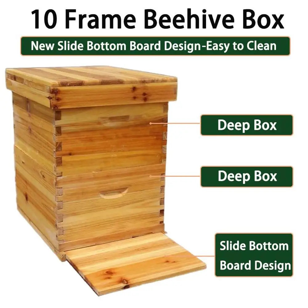 10-Frame Bee Hive Starter Kit