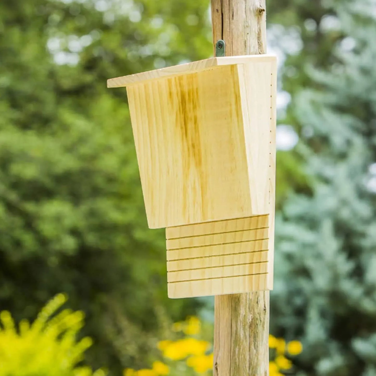 Large Outdoor Bat Houses