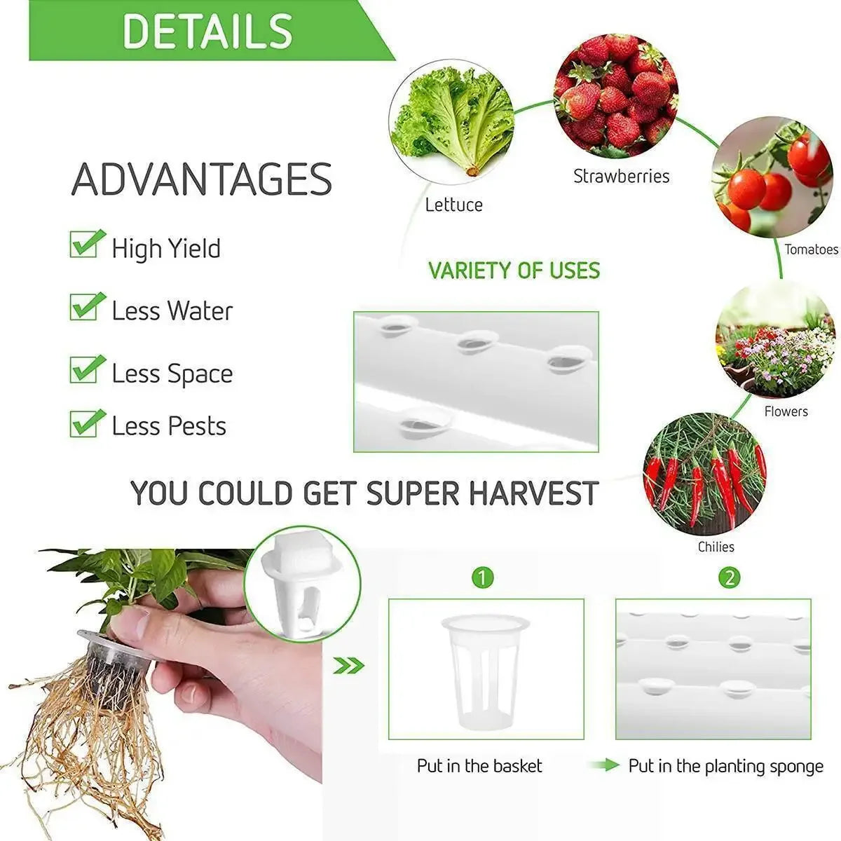 Hydroponics Growing System Kit