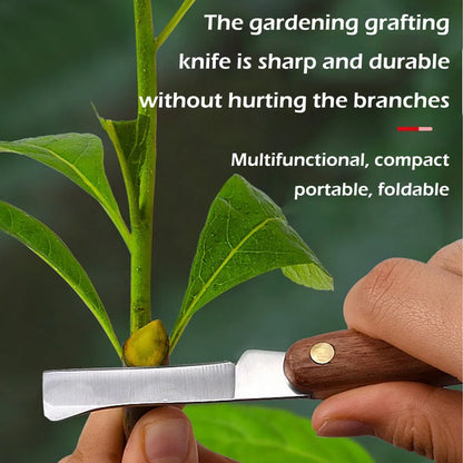 Foldable Grafting Knife