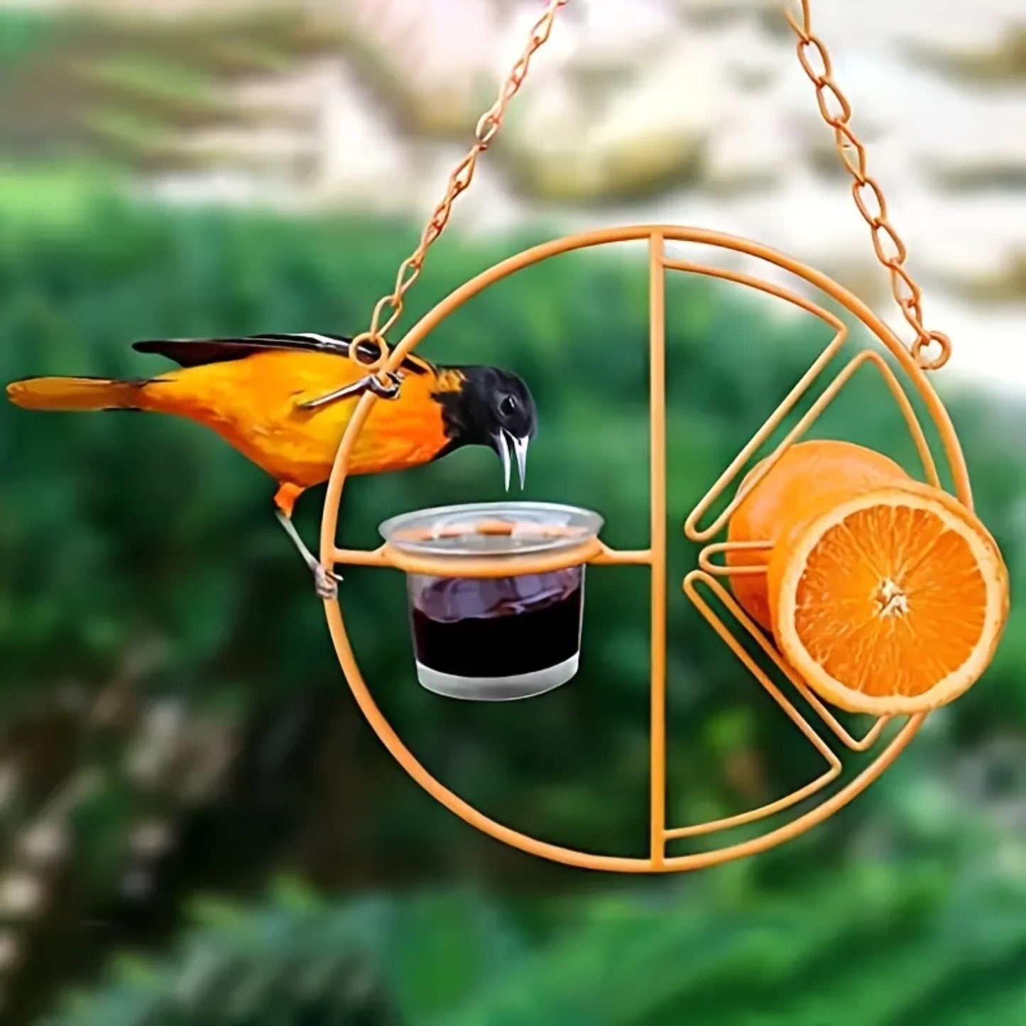 Jelly And Fruit Hanging Bird Feeder