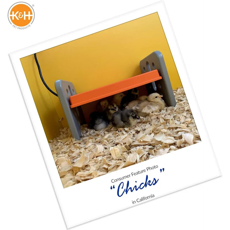 Chicken Brooder Heating Plate