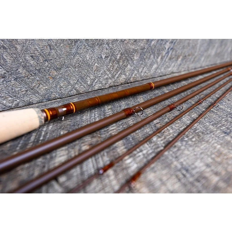 Pro Fly Fishing Rod with Carrying Case