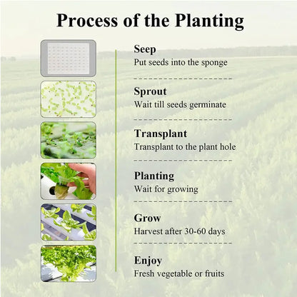 Hydroponics Growing System Kit